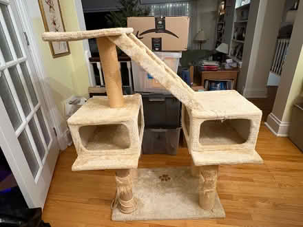 Photo of free Cat Tower (Glebe / Dow's Lake) #1