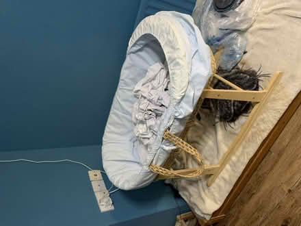Photo of free Moses basket (Kemptown BN2) #1