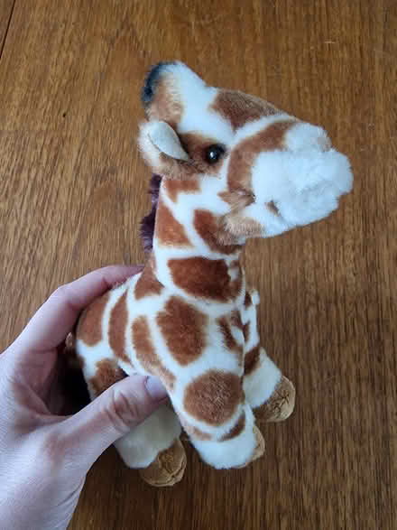 Photo of free Cuddly toy giraffe (Woking GU22 9) #1