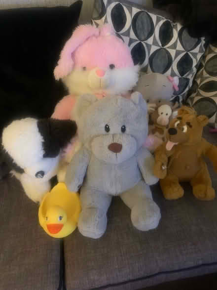 Photo of free Soft toys (Carrick Knowe EH12) #1