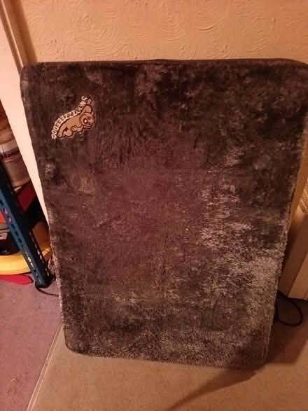 Photo of free Dog bed (St Nicholas SG1) #1