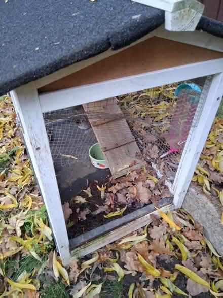 Photo of free Outdoor large rabbit hutch (SS16) #2