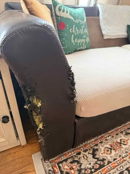 Photo of free Two Piece Large Sectional (Near SUNY Cortland/waterworks) #4