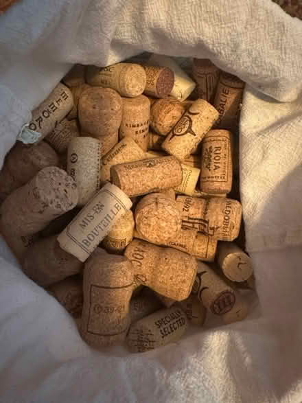 Photo of free LOTS of corks (Frecheville S12) #1