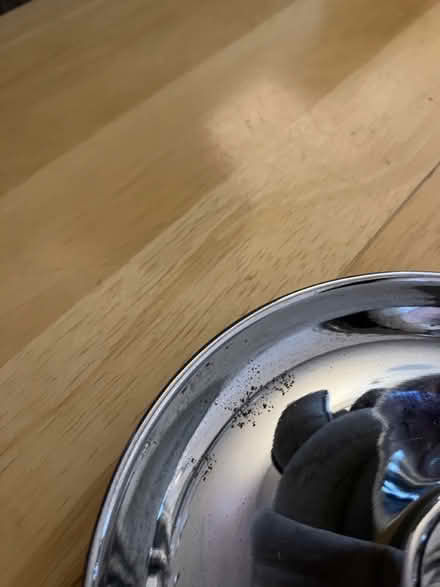 Photo of free Alternative Christmas tree (swindon, SN1) #2