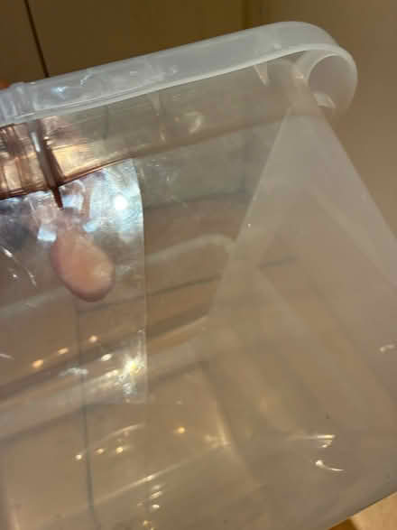 Photo of free 2 IKEA storage draw (Homerton E5) #3