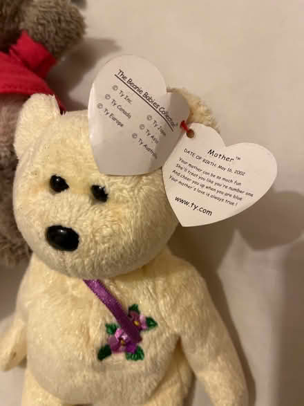 Photo of free teddies (PO8 wecock) #2