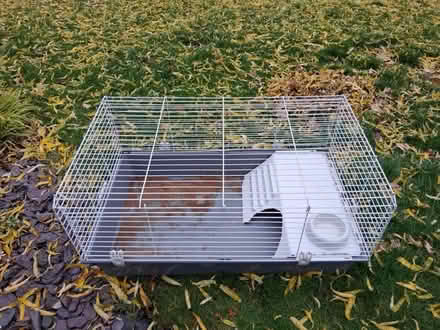 Photo of free Indoor rabbit hutch (SS16) #1