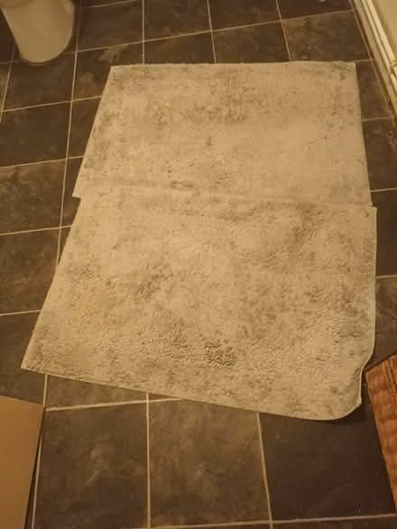 Photo of free Bathroom Mats (Fishermead MK6) #2