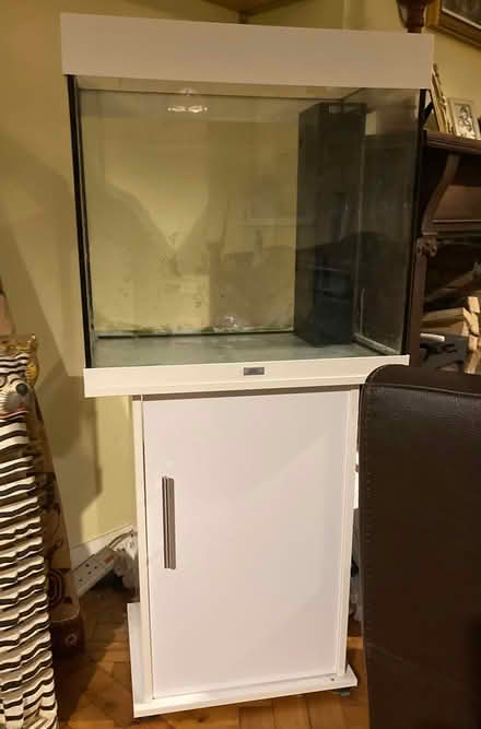 Photo of free Fish tank (South Croydon CR2) #4