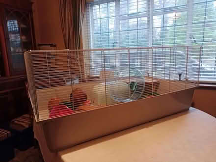 Photo of free Hamster cage (Church Crookham GU52) #1