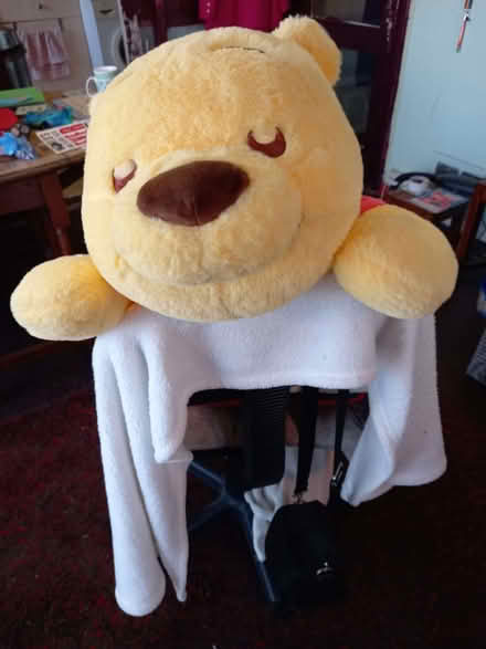 Photo of free large yellow teddy (Southwick BN42) #3