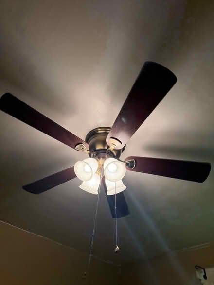 Photo of free Ceiling fan (Ludlow ky) #1