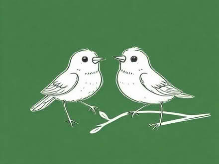 Photo of free Info cards on Birds (Oakhurst SN25) #1