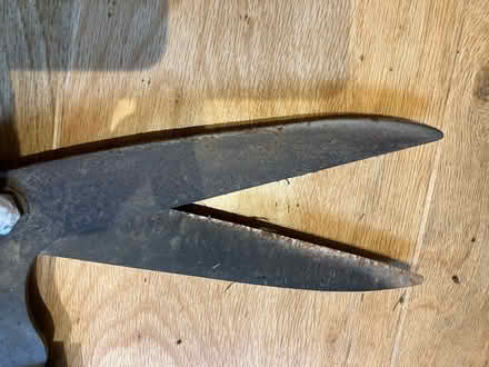 Photo of free Long-handled edging shears (Little Herberts GL53) #4
