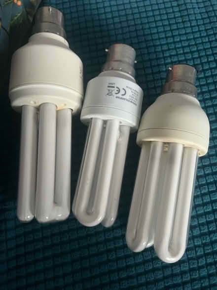 Photo of free Light bulbs (SW11) #1