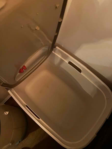 Photo of free Cat Litter Box, Bin and Bowls (Plumstead) #2