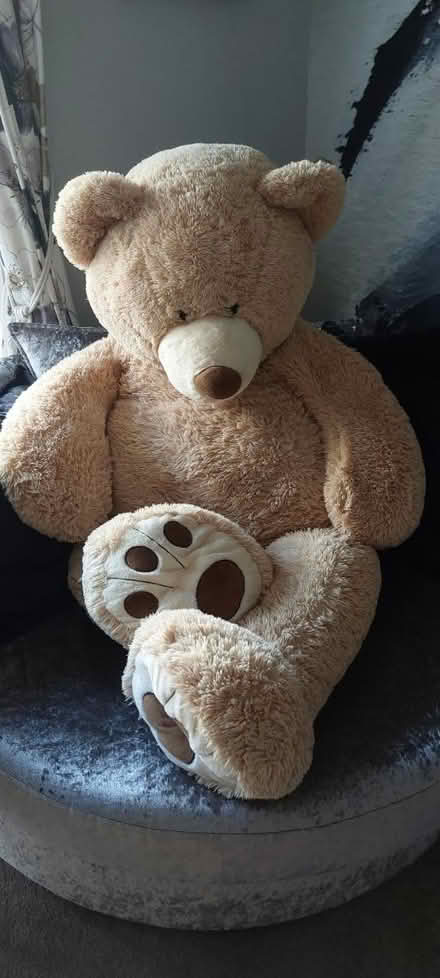 Photo of free Extra Large Bear (Gillingham) #1