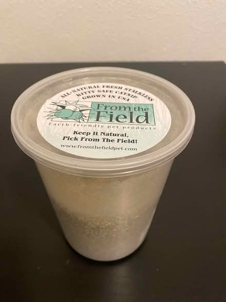 Photo of free Catnip (Richmond) #3