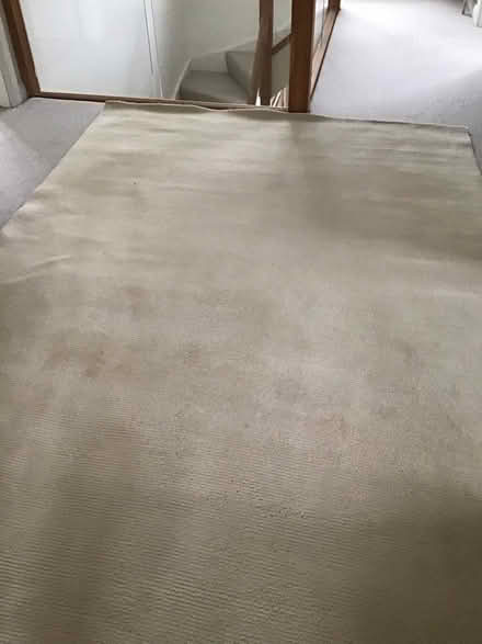 Photo of free Cream wool rug (Prestbury GL52) #1