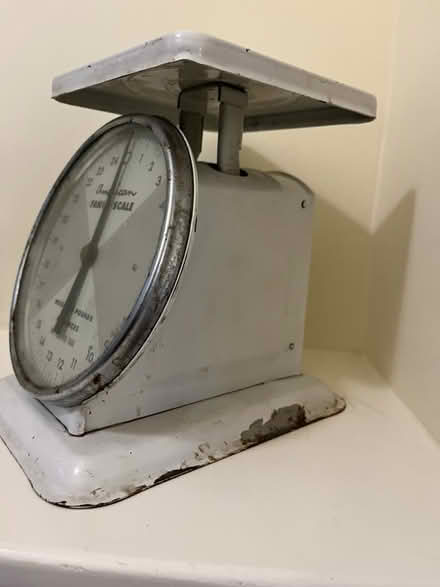 Photo of free Utility scale (Berkeley, near Claremont Hotel) #2