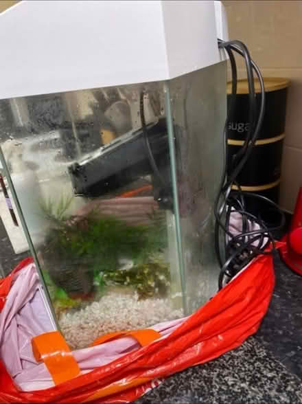 Photo of free Electric Fish Tank (Cheshunt En8) #4