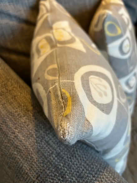 Photo of free Two cushions covers (Hulme M16) #3