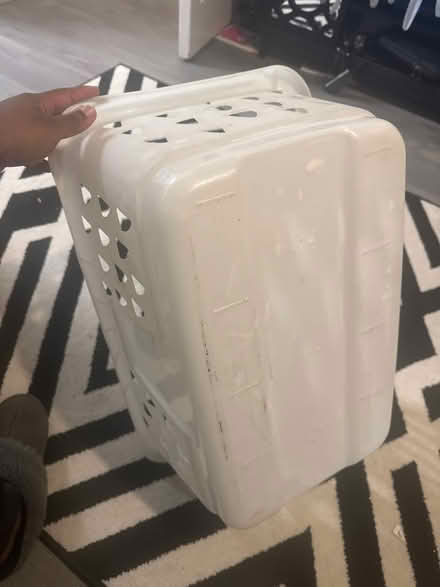 Photo of free Washing basket (Plaistow) #3