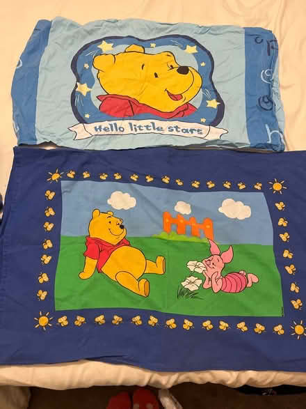 Photo of free Winnie the pooh pillow cases (PO8 wecock) #1