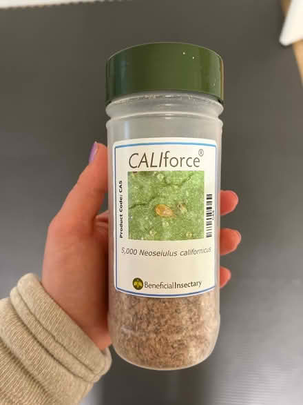 Photo of free Predator mites for spider mites (Beulah rd and Druid hill rd NE) #1