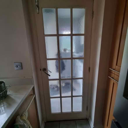 Photo of free Glazed internal door (Beaconsfield HP9) #1