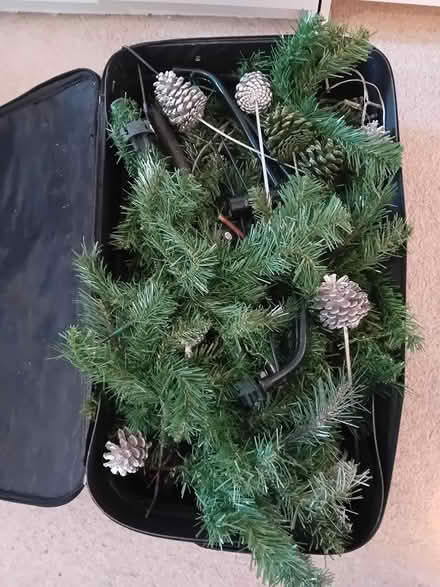 Photo of free Christmas Tree 1.7m high dismounted (Bristol BS7) #1