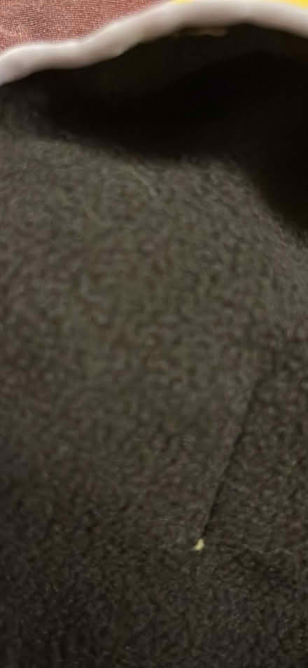 Photo of free Yellow, fleecy dog coat (Shephall SG2) #4