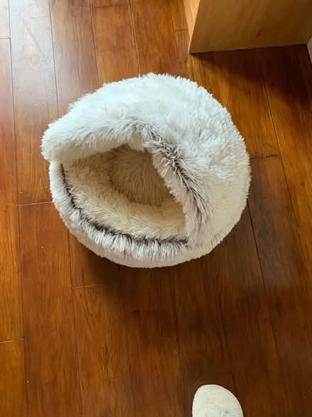 Photo of free Cat bed (Calne SN11) #1