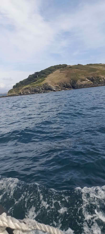 Photo of Mountain bikes (Wollaston DY8) #1