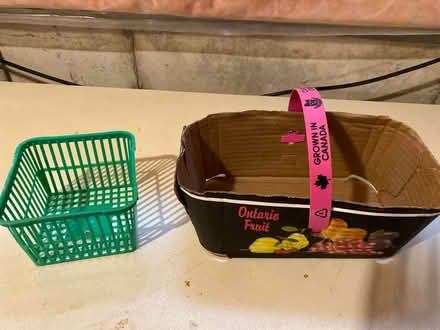 Photo of free Fruit containers (Winston Churchill/collegeway) #1