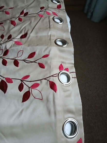 Photo of free Lovely (large) eyelet curtains (Chorley Moor PR7) #3