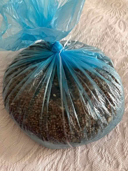 Photo of free Pickling spice nearly 1kg (N2) #1