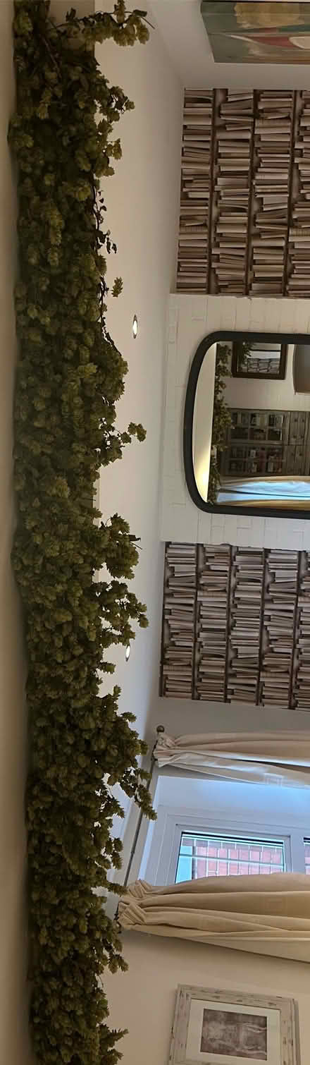 Photo of free Two x 6/7 ft string of HOPS (Norton Fitzwarren TA2) #1