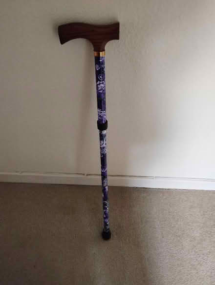 Photo of free Telescopic walking stick (Park Hill CR0) #1