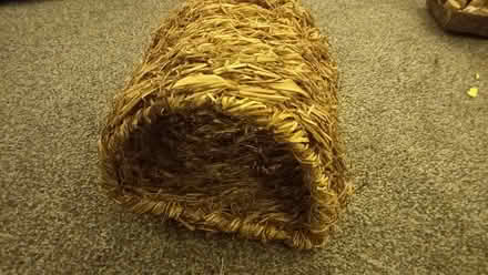 Photo of free Guinea pig hide (Bempton YO15) #1