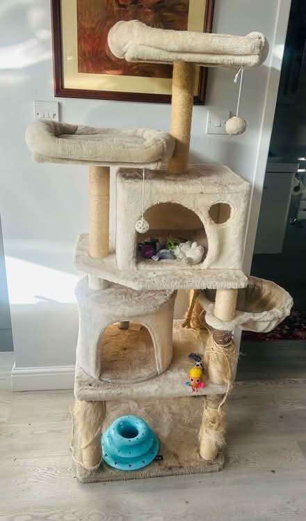 Photo of free Big cat tree with toys (Thornton Heath CR4) #2