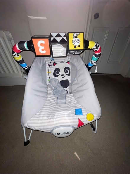 Photo of free Baby Einstein bouncy chair (Hunters Quay PA23) #1