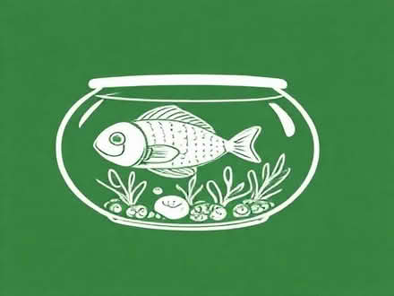 Photo of fish tank (Top Amersham HP6) #1