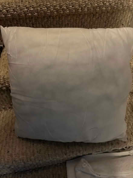 Photo of Throw cushions & inserts (L5L 5P5) #4