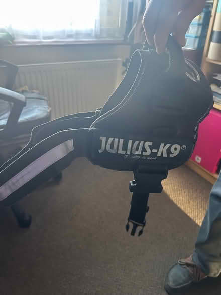 Photo of free Julius K 9 harness (Bognor Regis) #1