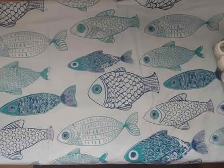 Photo of free fish pattern shower curtain (Far cotton Northampton) #1