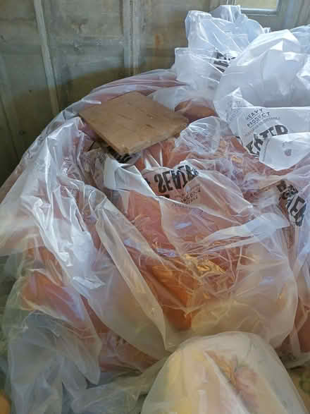 Photo of free Reddish brown sifa (Chichester PO19) #1