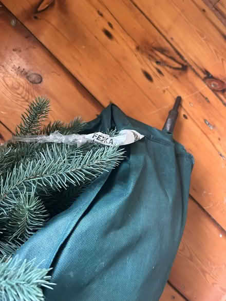 Photo of free Christmas Tree (Kilgobbin Road) #3