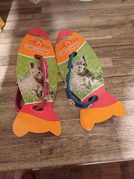 Photo of free Cat collars (Brookside TF3) #1